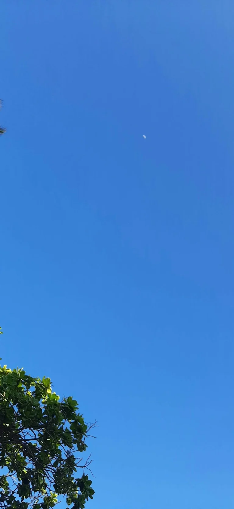 Aircraft flying above the Kenyan coast