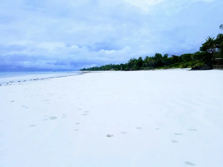 Coastal shoreline with trees and headland near Mombasa, Kenya